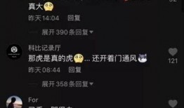 网上吃瓜视频花钱买的人,网络“吃瓜”背后的高价人生