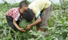 义乌工商吃瓜事件视频最新,一场网络热议的真相揭秘