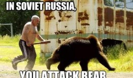 吃瓜熊打架视频大全,吃瓜熊打架视频大全盘点