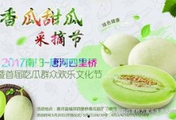 网红吃瓜大集合集视频,一场视觉与味蕾的双重盛宴