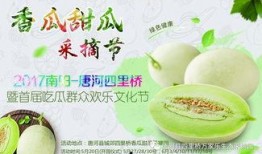 网红吃瓜大集合集视频,一场视觉与味蕾的双重盛宴