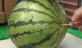 潍坊跳舞视频原版 吃瓜