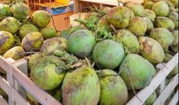 寿光东城天台吃瓜视频,一场引发热议的邻里冲突