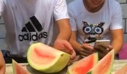 吃瓜吐口水视频,揭秘网络恶搞视频的流行现象