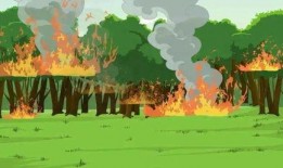 森林防火视频吃瓜