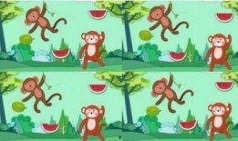 幼教故事猴王吃瓜视频,趣味横生的幼教故事视频