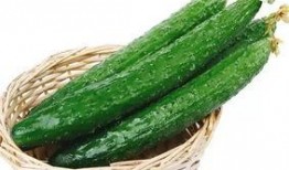 老洋瓜能吃吗怎么吃的视频,老洋瓜的食用方法与美味体验