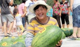 成都沙河事件吃瓜视频,网络热议背后的真相揭秘