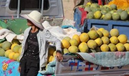 宁夏红寺堡吃瓜事件视频,一场引发热议的乡村奇观