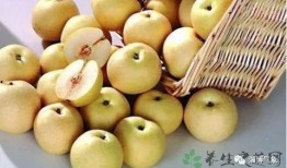 小奶瓜吃梨子好吗视频讲解,营养美味，宝宝辅食新选择