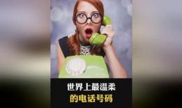 全球最温柔的吃瓜视频,温馨治愈你的心灵