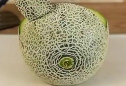 拿勺吃哈密瓜的视频播放,拿勺品尝的视觉盛宴