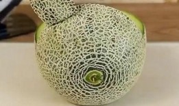 拿勺吃哈密瓜的视频播放,拿勺品尝的视觉盛宴