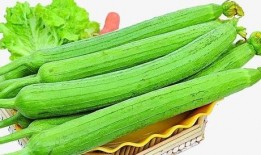 吃瓜视频每日吃瓜在线观看免费,免费在线观看，畅享热门视频盛宴