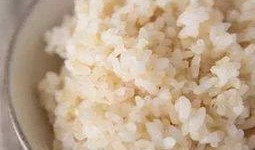 呆瓜吃冷饭视频,趣味视频带你领略冷饭新吃法