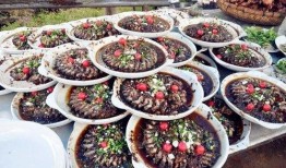 张家界婚宴吃瓜视频大全,一场视觉盛宴的甜蜜邂逅