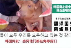 吃瓜视频韩国,吃瓜视频带你领略韩流魅力