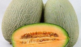 吃哈密瓜唱歌视频播放下载,视频播放下载，共享甜蜜旋律