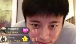 内娱吃瓜直播爆料事件视频,揭秘娱乐圈幕后真相