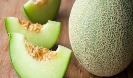 恐龙吃哈密瓜儿童视频