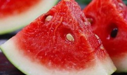 哪能找到吃瓜视频,揭秘“吃瓜视频”背后的娱乐狂欢