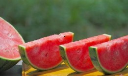 情侣旺财吃瓜视频大全,笑料百出视频大全