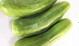 最早吃瓜的视频,揭秘最早吃瓜群众的幕后故事