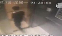 番禺区吃瓜事件视频曝光,一场引发热议的社区冲突瞬间