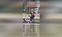 吃瓜群众来源视频来源,揭秘“吃瓜群众”背后的热门视频来源