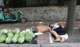 邯山区吃瓜事件视频,一场引发热议的网络风波