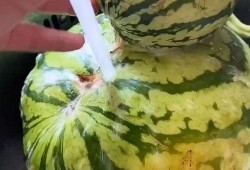 吃瓜搞怪配音视频大全免费,吃瓜搞怪视频大全免费来袭！