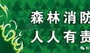 森林防火视频吃瓜
