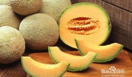 甘瓜又脆又甜怎么吃视频