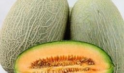 吃绞瓜对身体有害吗视频,吃绞瓜对身体有害吗？