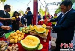 银川最新吃瓜事件视频,视频揭秘惊人真相