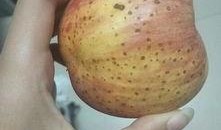 烂掉的毛瓜可以吃吗视频,揭秘食品安全真相