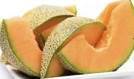 哈密瓜小母鸡可以吃吗视频,探索新型宠物饮食搭配