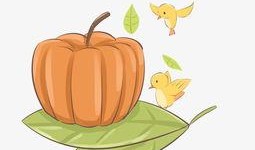 吃秋瓜素材视频大全,视频大全带你领略秋季美味时光