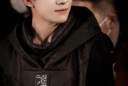 吃瓜爆料张译视频大全集,揭秘娱乐圈幕后故事