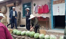 宁夏银川吃瓜事件视频最新,一场网络热议背后的真相揭秘