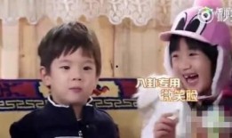 明星八卦解说吃瓜视频下载