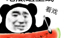 瓜哥吃瓜奇葩视频大全,揭秘奇观视频大全背后的疯狂世界