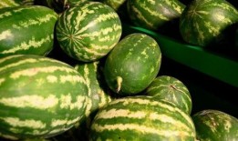 温江吃瓜新闻事件视频最新,一场引发热议的街头冲突事件