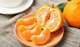 皇后喂胖橘吃哈密瓜视频,胖橘大快朵颐哈密瓜美食时光