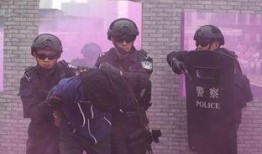 公安局吃瓜视频最新,揭秘警界幕后趣闻