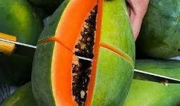 半年吃瓜真实经历视频,娱乐圈幕后真相大曝光