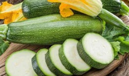 吃葫芦瓜用焯水吗视频大全