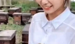 呆瓜吃蜂蜜视频在线观看,趣味吃蜂蜜视频在线观看