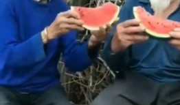 老太婆吃瓜视频在线观看,揭秘网络红人的幕后生活