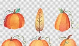 吃秋瓜素材视频大全,视频大全带你领略秋季美味时光